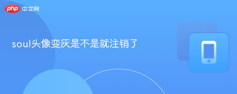 soul头像变灰是不是就注销了