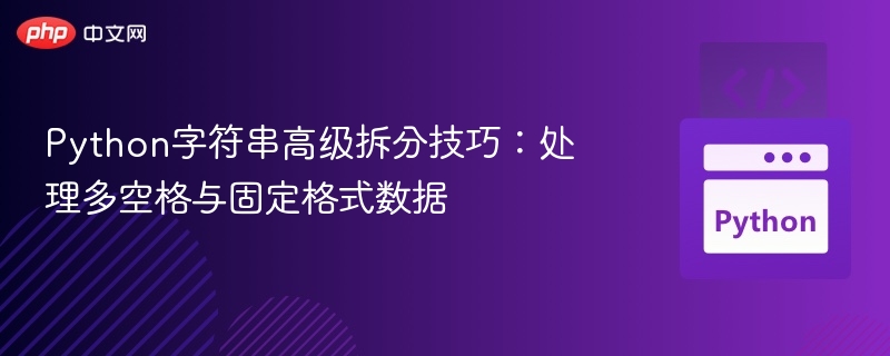 Python字符串高级拆分技巧:处理多空格与固定格式数据