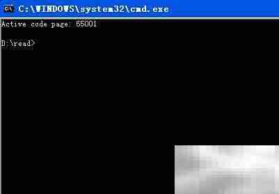 CMD支持UTF-8文件编码