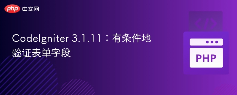 CodeIgniter 3.1.11:有条件地验证表单字段