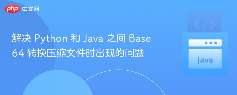 Python与JavaBase64差异对比