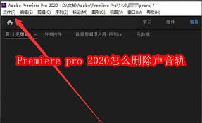 PR2020亮色设置教程详解