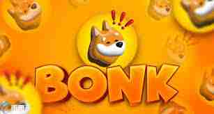 bonk币2025年能涨到什么价位