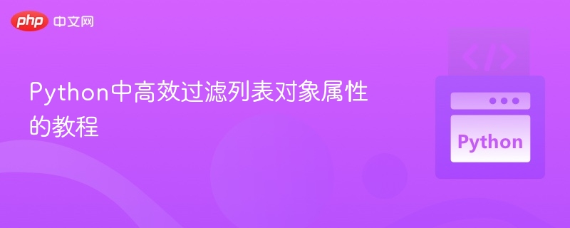Python列表属性高效过滤技巧