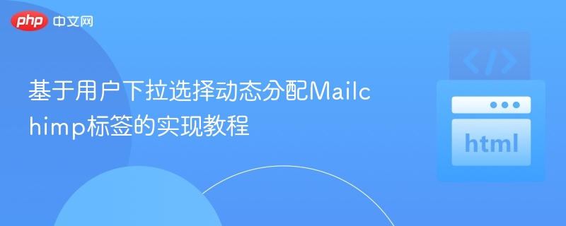 基于用户下拉选择动态分配Mailchimp标签的实现教程
