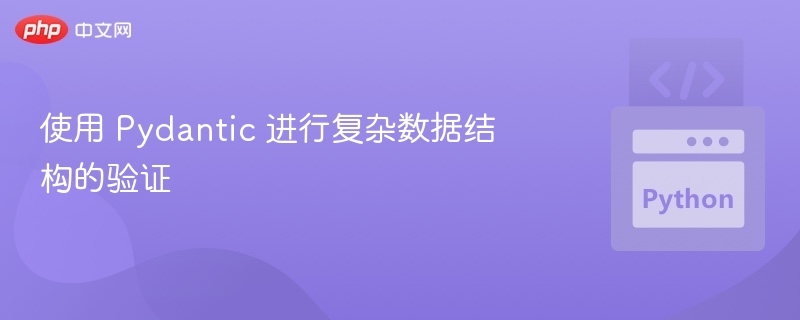Pydantic复杂数据校验技巧全解析