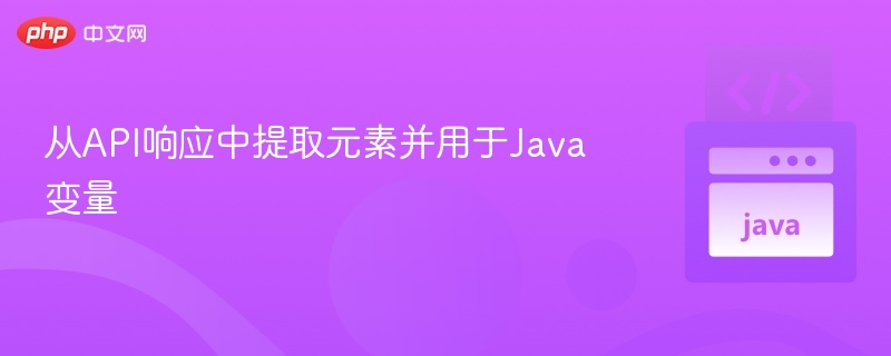 API数据提取到Java变量的技巧