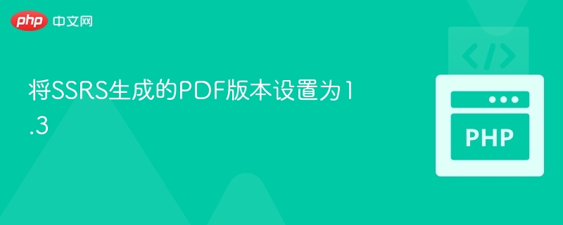 SSRSPDF1.3设置教程详解