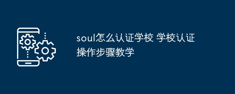 Soul学校认证流程全解析