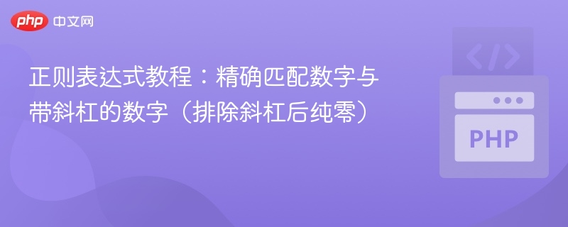 正则表达式教程：精确匹配数字与带斜杠的数字（排除斜杠后纯零）
