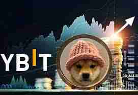 wif币未来潜力怎么样