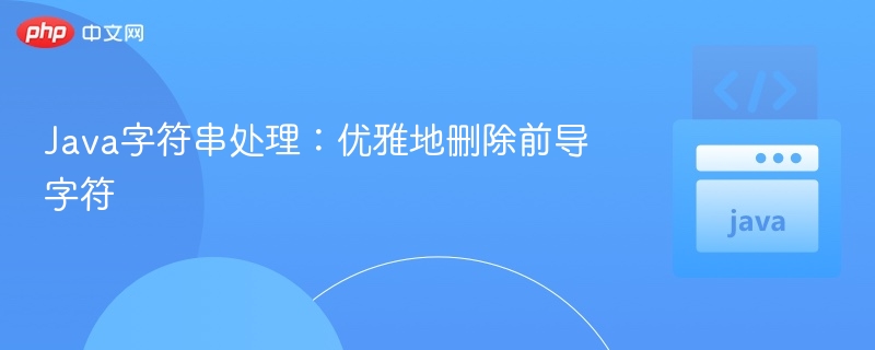 Java字符串处理：优雅地删除前导字符
