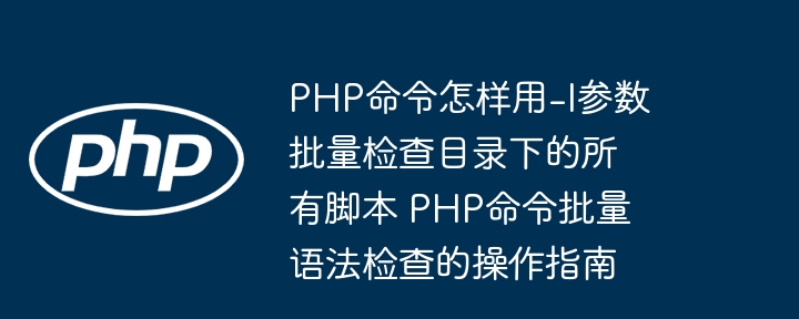 PHP-l参数批量检测脚本教程