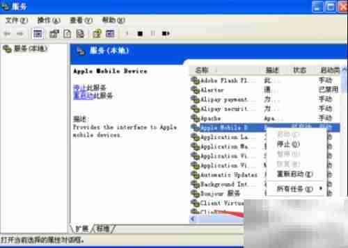 Apple Mobile启动失败