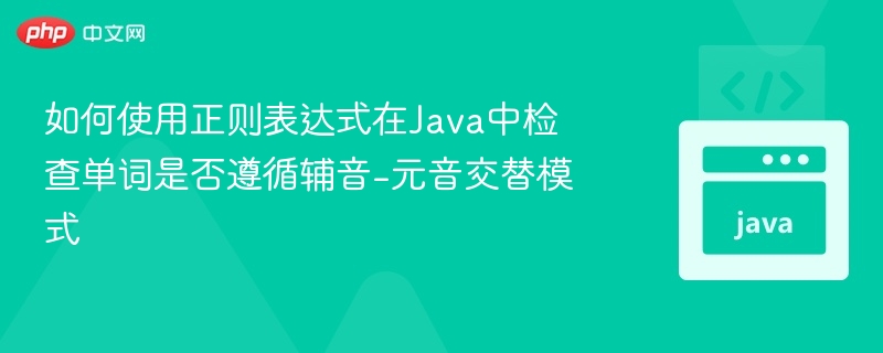 如何使用正则表达式在Java中检查单词是否遵循辅音-元音交替模式
