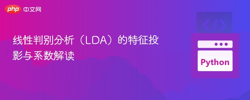 LDA投影与系数分析全解析
