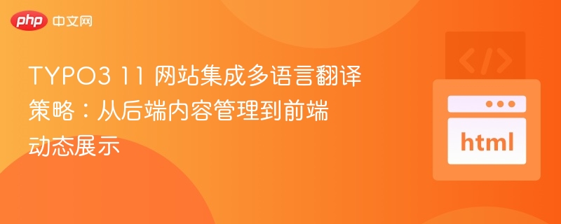 TYPO311多语言设置与展示全解析