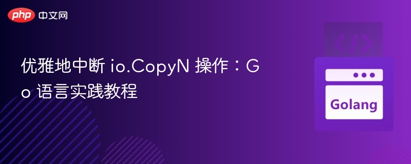 优雅地中断 io.CopyN 操作:Go 语言实践教程