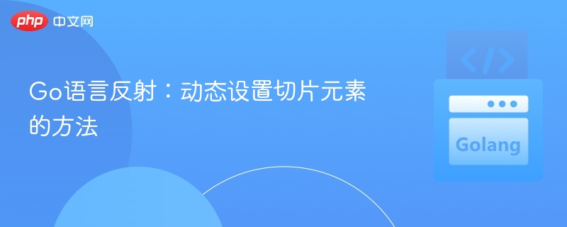Go反射动态修改切片元素方法
