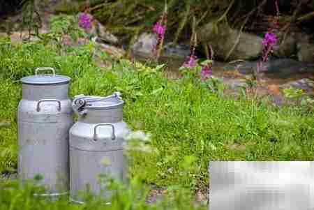 牛奶配送系统下载推荐