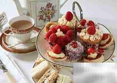 猫咖开店全攻略