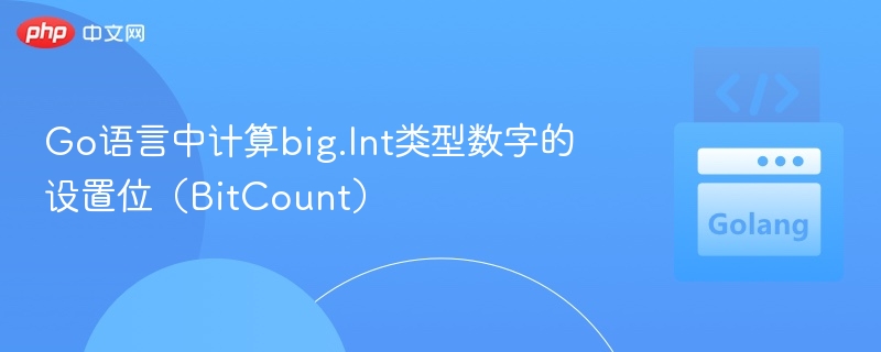 Go中big.Int位数计算方法详解
