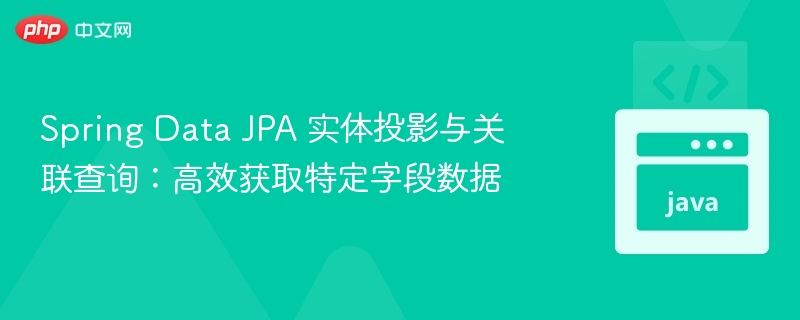 SpringDataJPA投影查询实用技巧