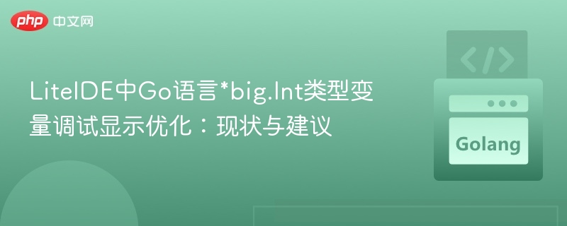 LiteIDE调试big.Int优化技巧