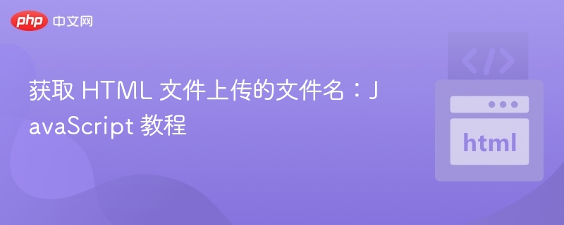 HTML文件上传获取文件名方法