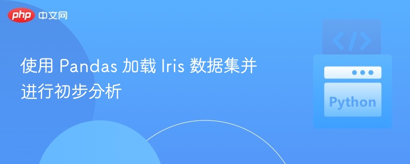 使用 Pandas 加载 Iris 数据集并进行初步分析