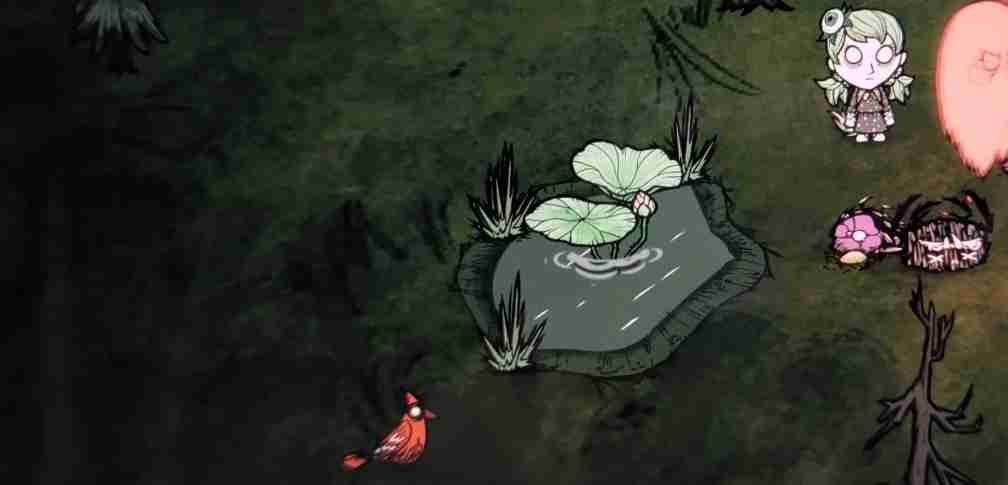 《饥荒》芭蕉树和莲花株特性介绍