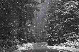 ps如何制作下雪效果图片