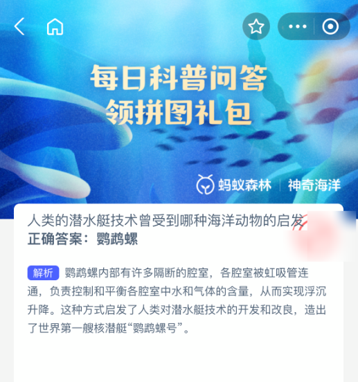 鲨鱼启发潜艇技术？真相大揭秘