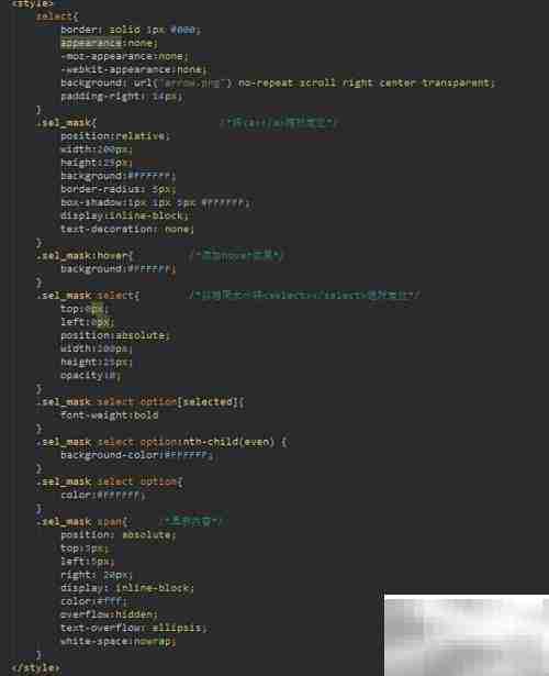 select美化技巧大全