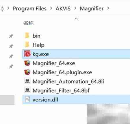 Magnifier2021安装使用指南