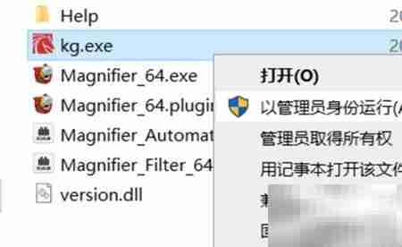 Magnifier2021安装使用指南
