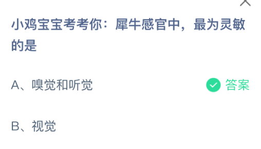 小鸡宝宝考考你犀牛感官中最为灵敏的是