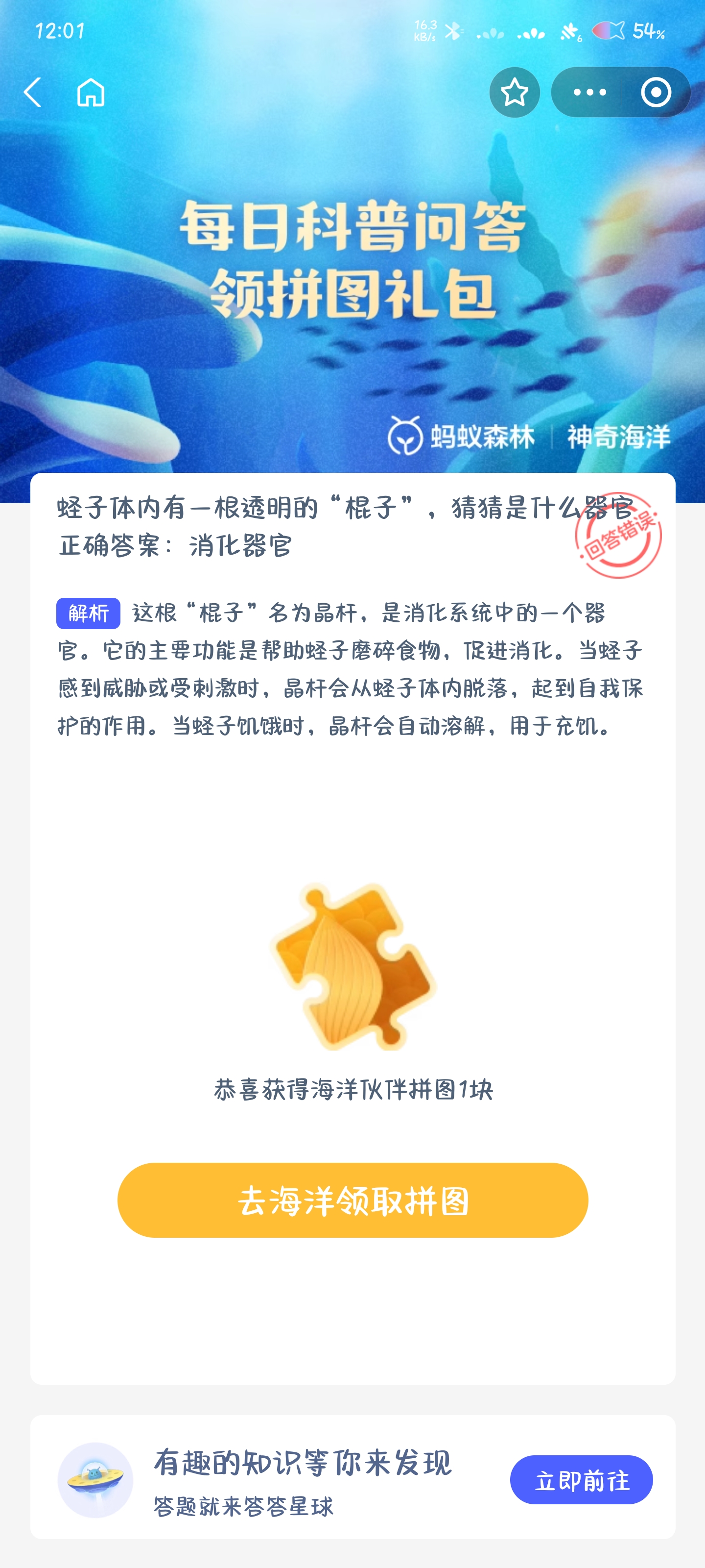 蛏子体内透明物是消化系统吗？