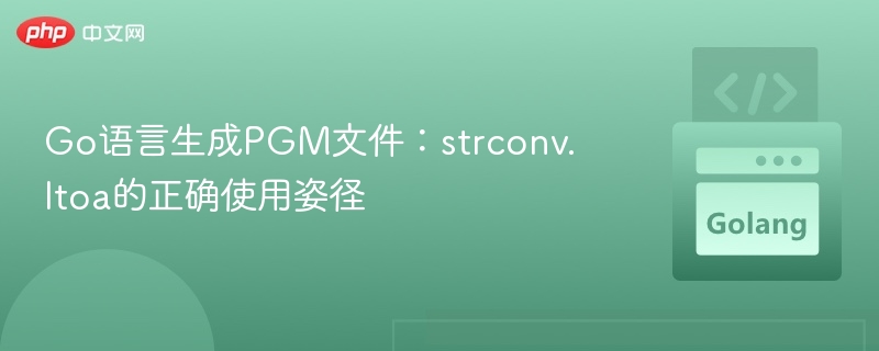 Go语言生成PGM文件:strconv.Itoa的正确使用姿径