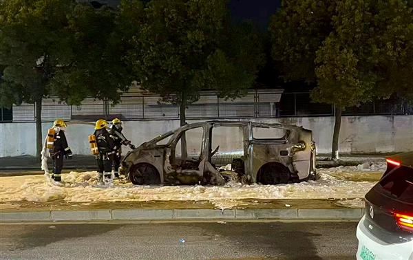 理想MEGA行驶中突然起火 车主发律师函:网上部分信息存在夸大、歪曲或虚构情形