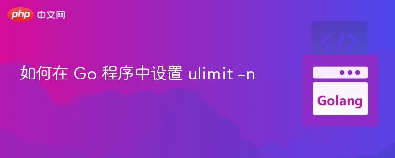 如何在 Go 程序中设置 ulimit -n