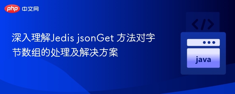 深入理解Jedis jsonGet 方法对字节数组的处理及解决方案
