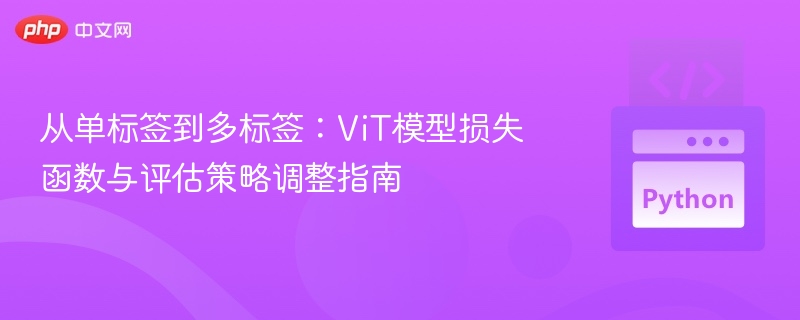 单标签变多标签，ViT模型优化全解析