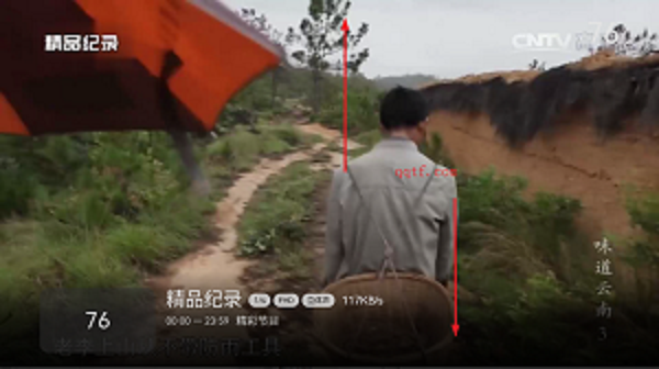 小飞电视app使用教程