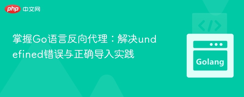 掌握Go语言反向代理：解决undefined错误与正确导入实践
