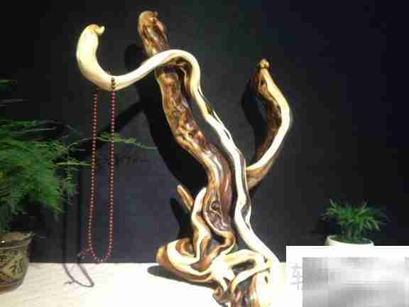 崖柏对人体的五大益处