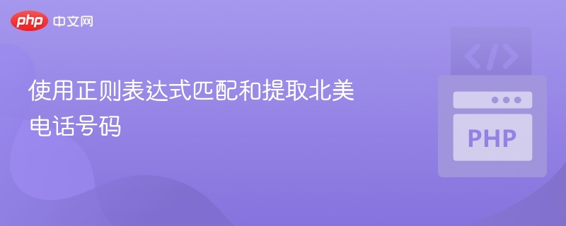北美电话号码正则表达式匹配方法