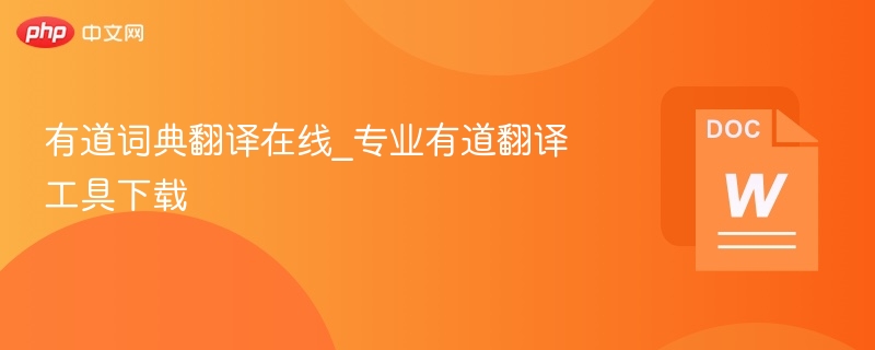 有道词典翻译在线_专业有道翻译工具下载