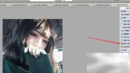 舞蝶飞照片变单色方法教程