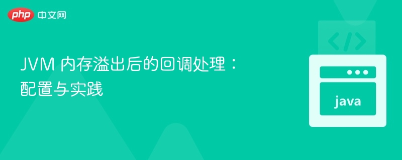 JVM 内存溢出后的回调处理:配置与实践